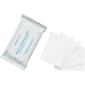 Colorescience Brush Wipes from MyExceptionalSkinCare.com product